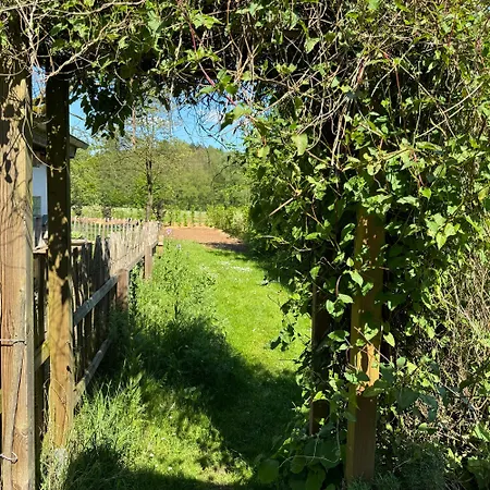 Hinkelshof - 3 Gaestezimmer - Naturnah, Oekologisch, Urig, Selbstversorgerkueche Korperich
