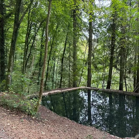 Hinkelshof - 3 Gaestezimmer - Naturnah, Oekologisch, Urig, Selbstversorgerkueche Séjour chez l'habitant