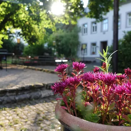 Alloggio in famiglia Hinkelshof - 3 Gaestezimmer - Naturnah, Oekologisch, Urig, Selbstversorgerkueche