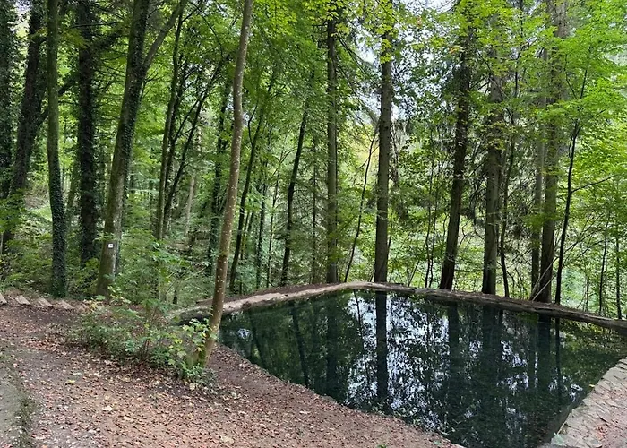 Hinkelshof - 3 Gaestezimmer - Naturnah, Oekologisch, Urig, Selbstversorgerkueche Quarto em Acomodações Particulares