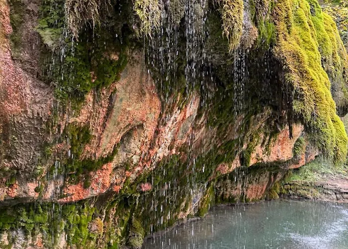 Alloggio in famiglia Hinkelshof - 3 Gaestezimmer - Naturnah, Oekologisch, Urig, Selbstversorgerkueche