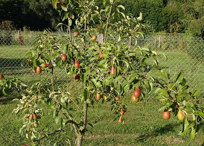 Hinkelshof - 3 Gaestezimmer - Naturnah, Oekologisch, Urig, Selbstversorgerkueche *