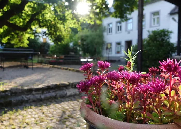 Alloggio in famiglia Hinkelshof - 3 Gaestezimmer - Naturnah, Oekologisch, Urig, Selbstversorgerkueche