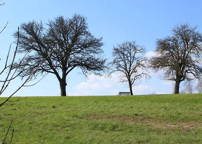 Alloggio in famiglia Hinkelshof - 3 Gaestezimmer - Naturnah, Oekologisch, Urig, Selbstversorgerkueche